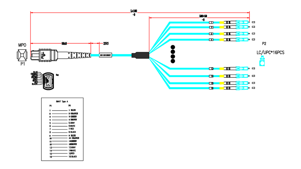 Multicore Cable Wiring Diagram with Multiple Branch Connections
